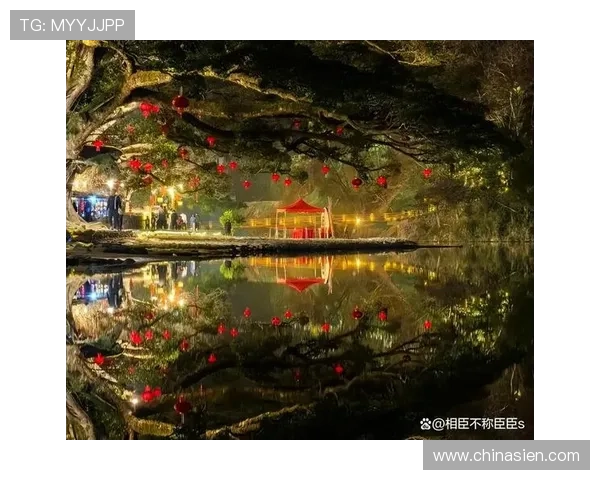 壹号本网页版登录入口：如何快速找到官方登录入口的详细指南