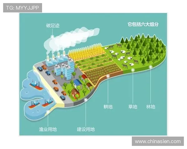 揭秘壹号娱乐的盈利模式：如何实现可持续的商业增长